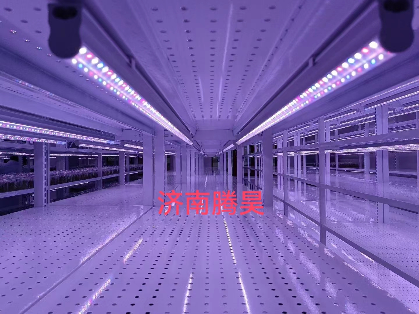 組培架，培養(yǎng)架，光照培養(yǎng)架，組培室設(shè)計(jì)，組培室無菌凈化